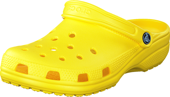 croc (the shoe piece)